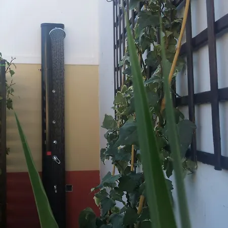 Y Doña Lola